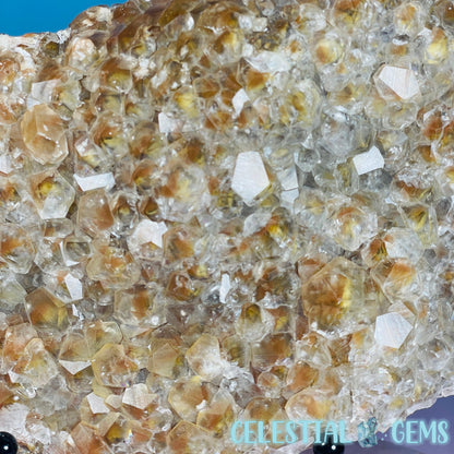 Translucent Hematite Pagoda Calcite Large Cluster Specimen (Video)