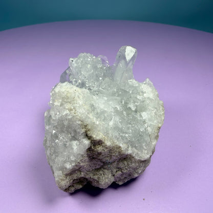 Celestite Small Cluster Geode