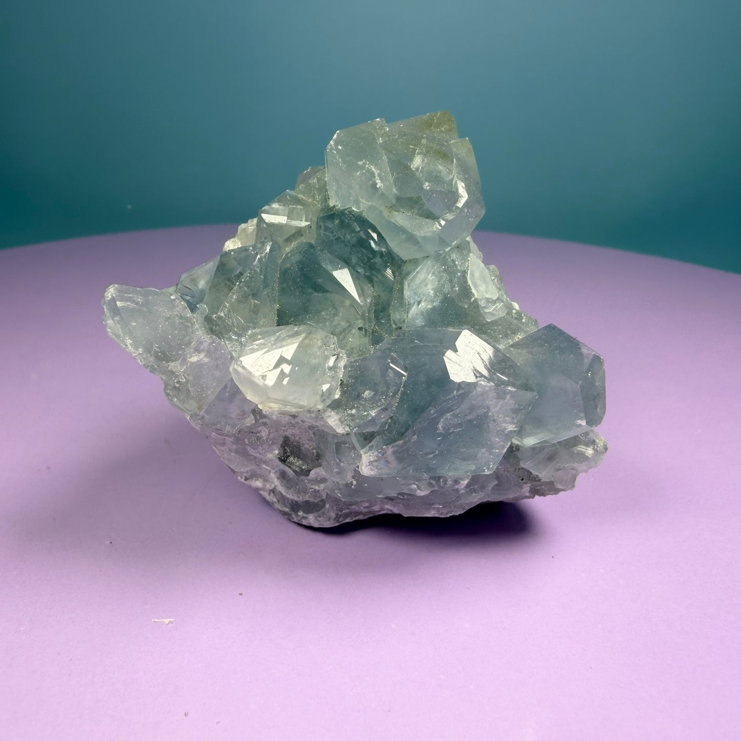 Celestite Small Cluster Geode