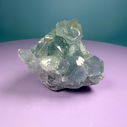 Celestite Small Cluster Geode