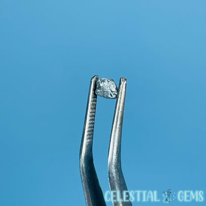 Salt & Pepper Diamond Tiny Crystal Specimen in Pottle (Video)