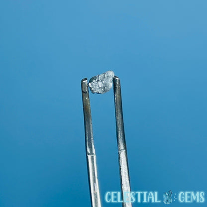 Salt & Pepper Diamond Tiny Crystal Specimen in Pottle (Video)