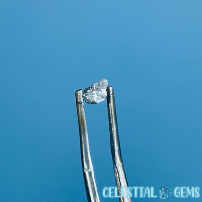 Salt & Pepper Diamond Tiny Crystal Specimen in Pottle (Video)