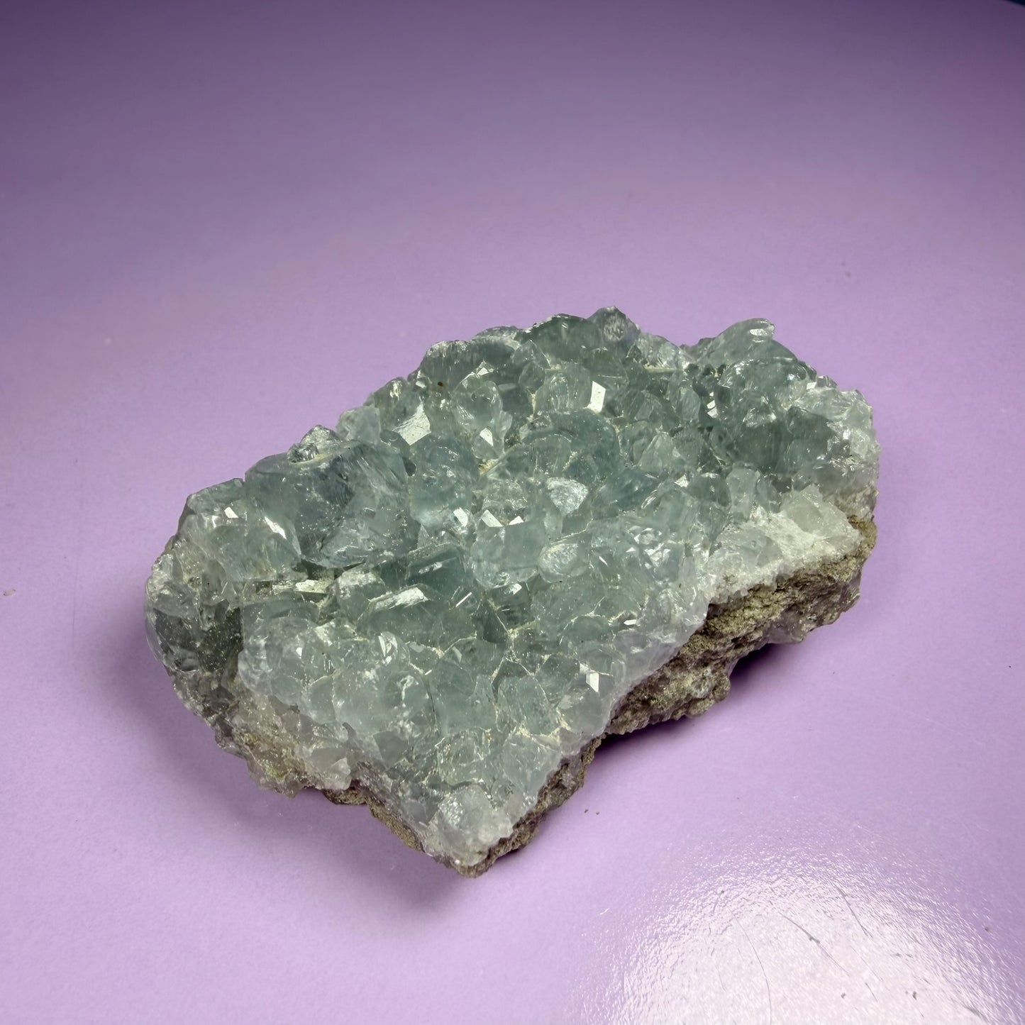 Celestite Small Cluster Geode