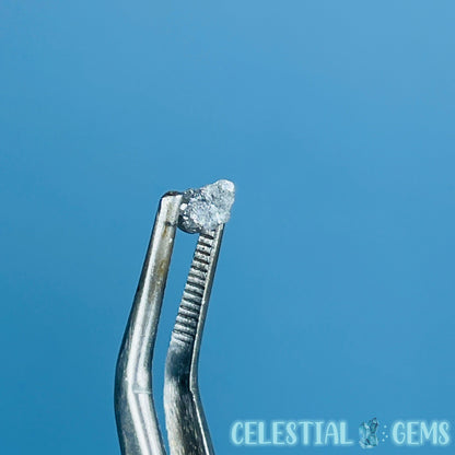 Salt & Pepper Diamond Tiny Crystal Specimen in Pottle (Video)