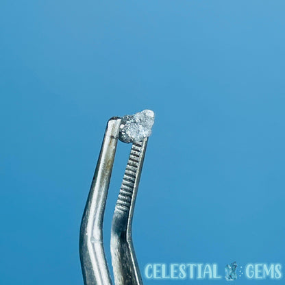 Salt & Pepper Diamond Tiny Crystal Specimen in Pottle (Video)