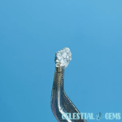 Salt & Pepper Diamond Tiny Crystal Specimen in Pottle (Video)