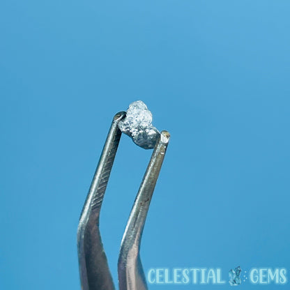 Salt & Pepper Diamond Tiny Crystal Specimen in Pottle (Video)