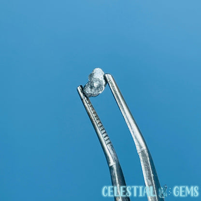 Salt & Pepper Diamond Tiny Crystal Specimen in Pottle (Video)