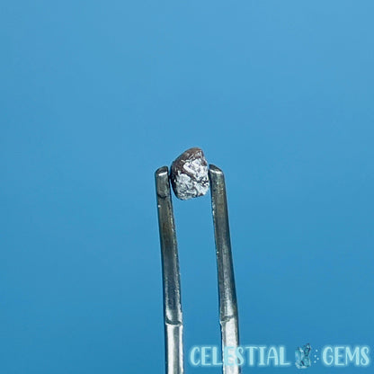 Salt & Pepper Diamond Tiny Crystal Specimen in Pottle (Video)