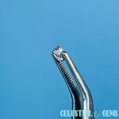 Salt & Pepper Diamond Tiny Crystal Specimen in Pottle (Video)