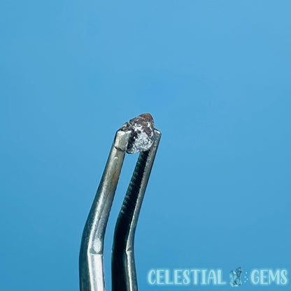 Salt & Pepper Diamond Tiny Crystal Specimen in Pottle (Video)