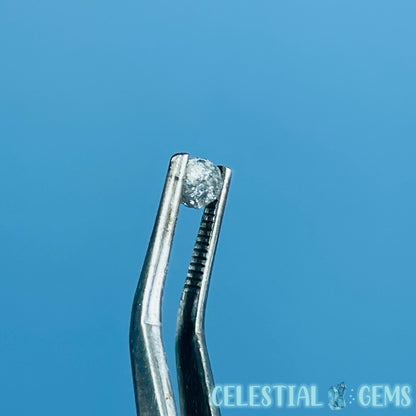 Salt & Pepper Diamond Tiny Crystal Specimen in Pottle (Video)