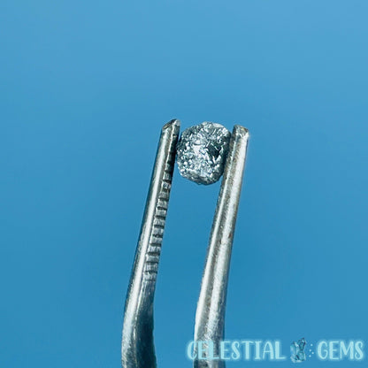 Salt & Pepper Diamond Tiny Crystal Specimen in Pottle (Video)