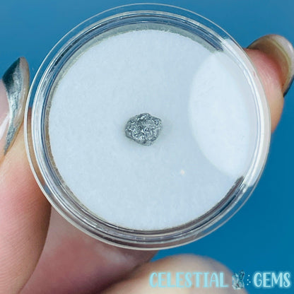 Salt & Pepper Diamond Tiny Crystal Specimen in Pottle (Video)