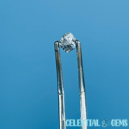 Salt & Pepper Diamond Tiny Crystal Specimen in Pottle (Video)