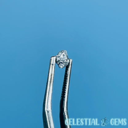 Salt & Pepper Diamond Tiny Crystal Specimen in Pottle (Video)