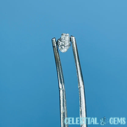 Salt & Pepper Diamond Tiny Crystal Specimen in Pottle (Video)