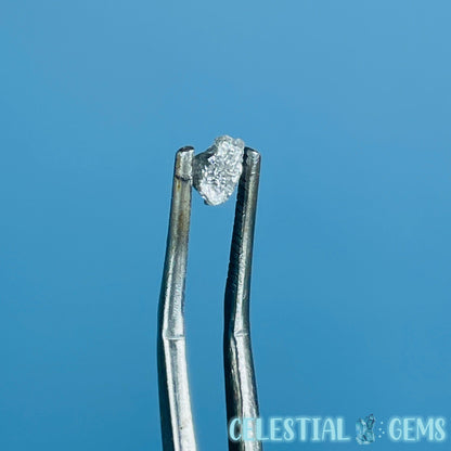 Salt & Pepper Diamond Tiny Crystal Specimen in Pottle (Video)