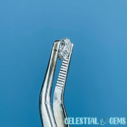 Salt & Pepper Diamond Tiny Crystal Specimen in Pottle (Video)