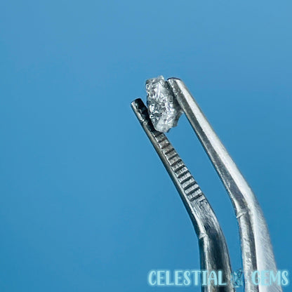 Salt & Pepper Diamond Tiny Crystal Specimen in Pottle (Video)