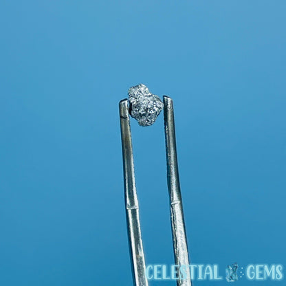 Salt & Pepper Diamond Tiny Crystal Specimen in Pottle (Video)