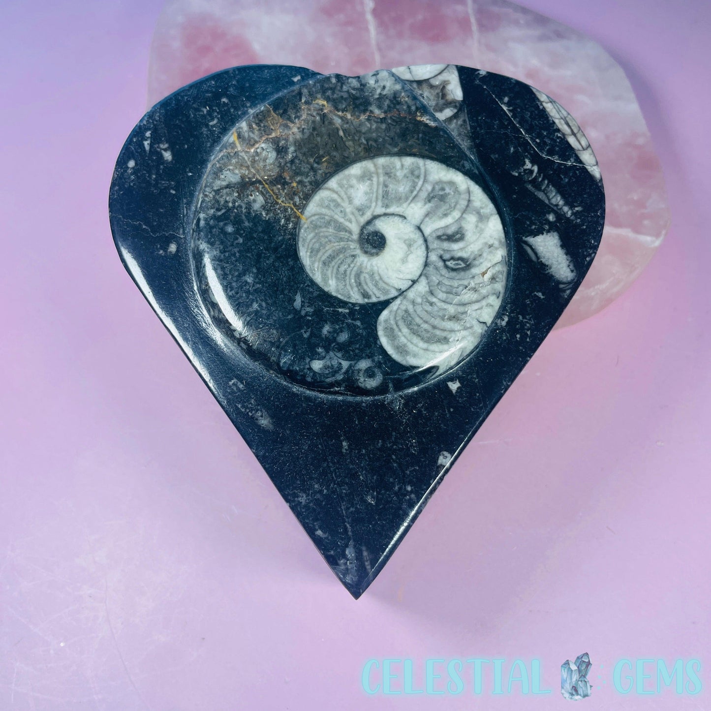 Ammonite Fossil Heart-Shaped Box with Lid