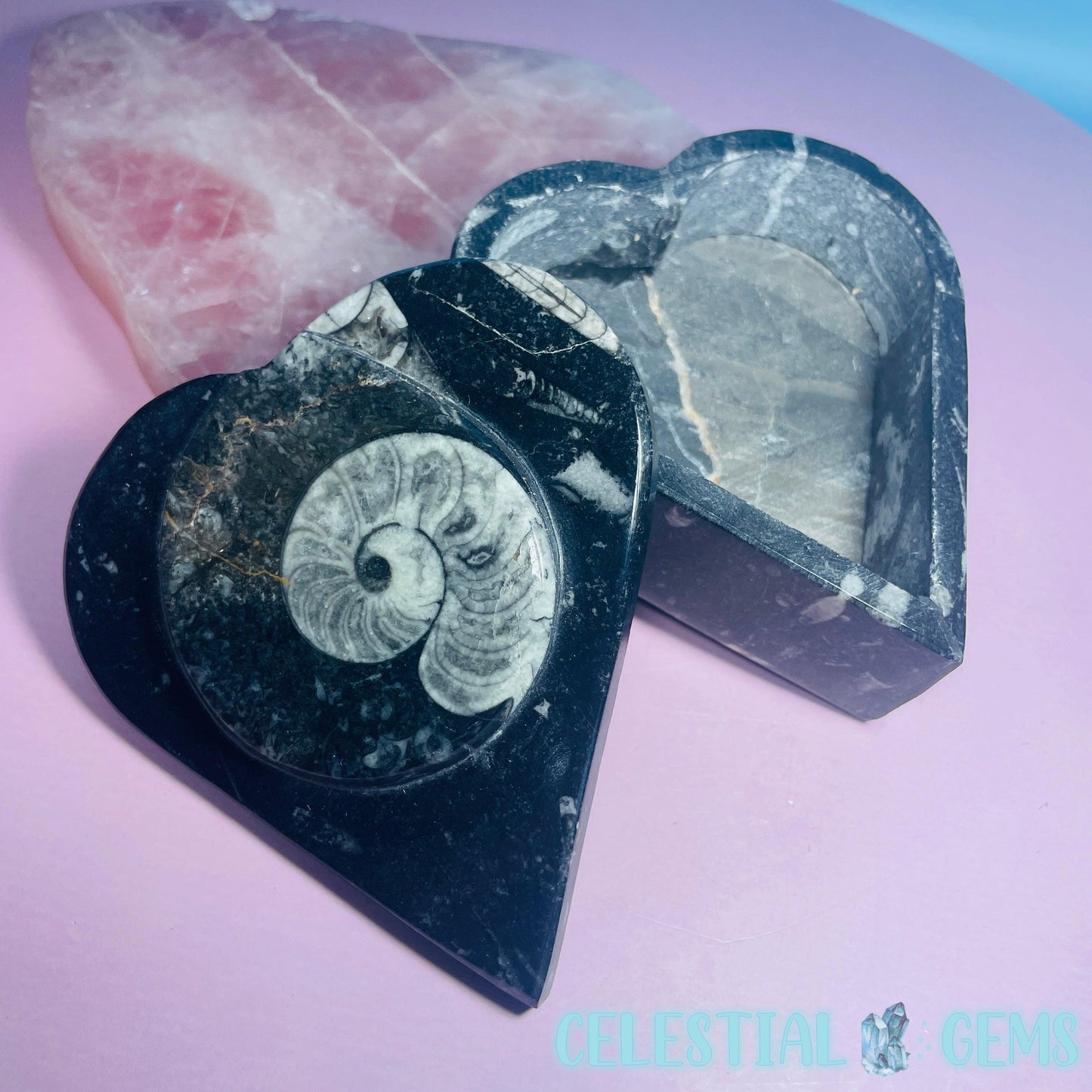 Ammonite Fossil Heart-Shaped Box with Lid