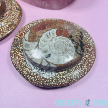 Ammonite Fossil Round Slab Palmstone 6-8cm