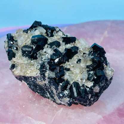 Namibian Black Tourmaline + Quartz Small Cluster Specimen