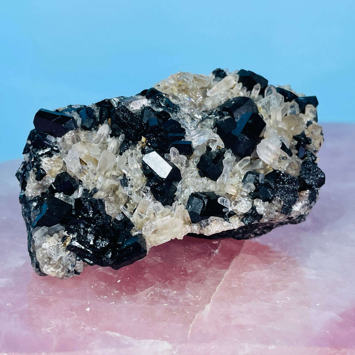 Namibian Black Tourmaline + Quartz Small Cluster Specimen