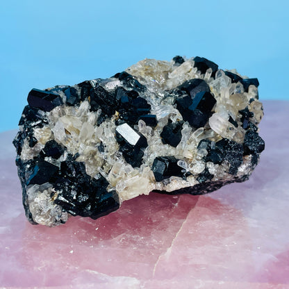 Namibian Black Tourmaline + Quartz Small Cluster Specimen
