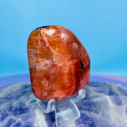Iolite + Sunstone Small Freeform (Video)