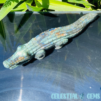 Labradorite Crocodile Large Carving