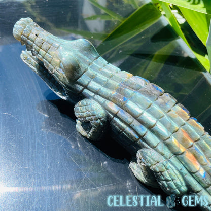 Labradorite Crocodile Large Carving