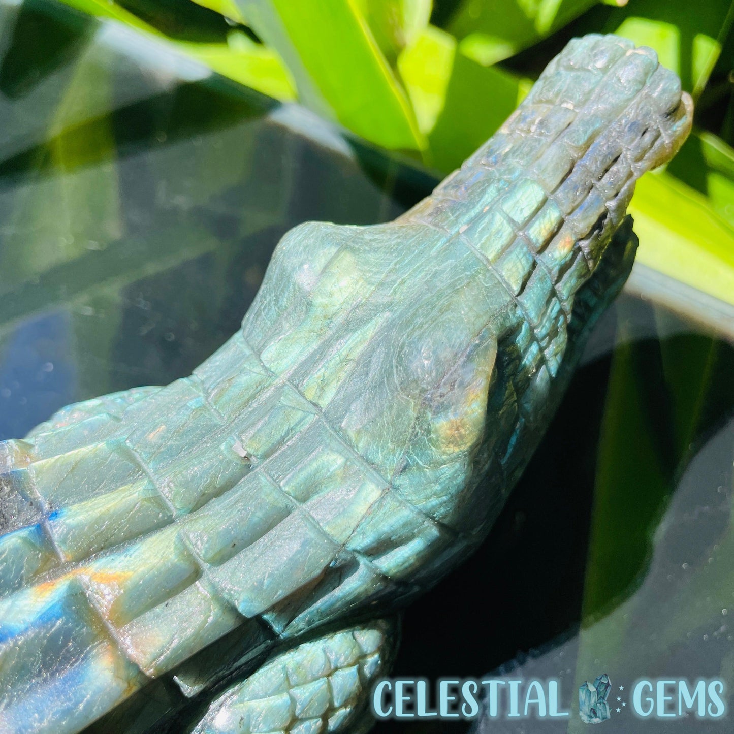 Labradorite Crocodile Large Carving