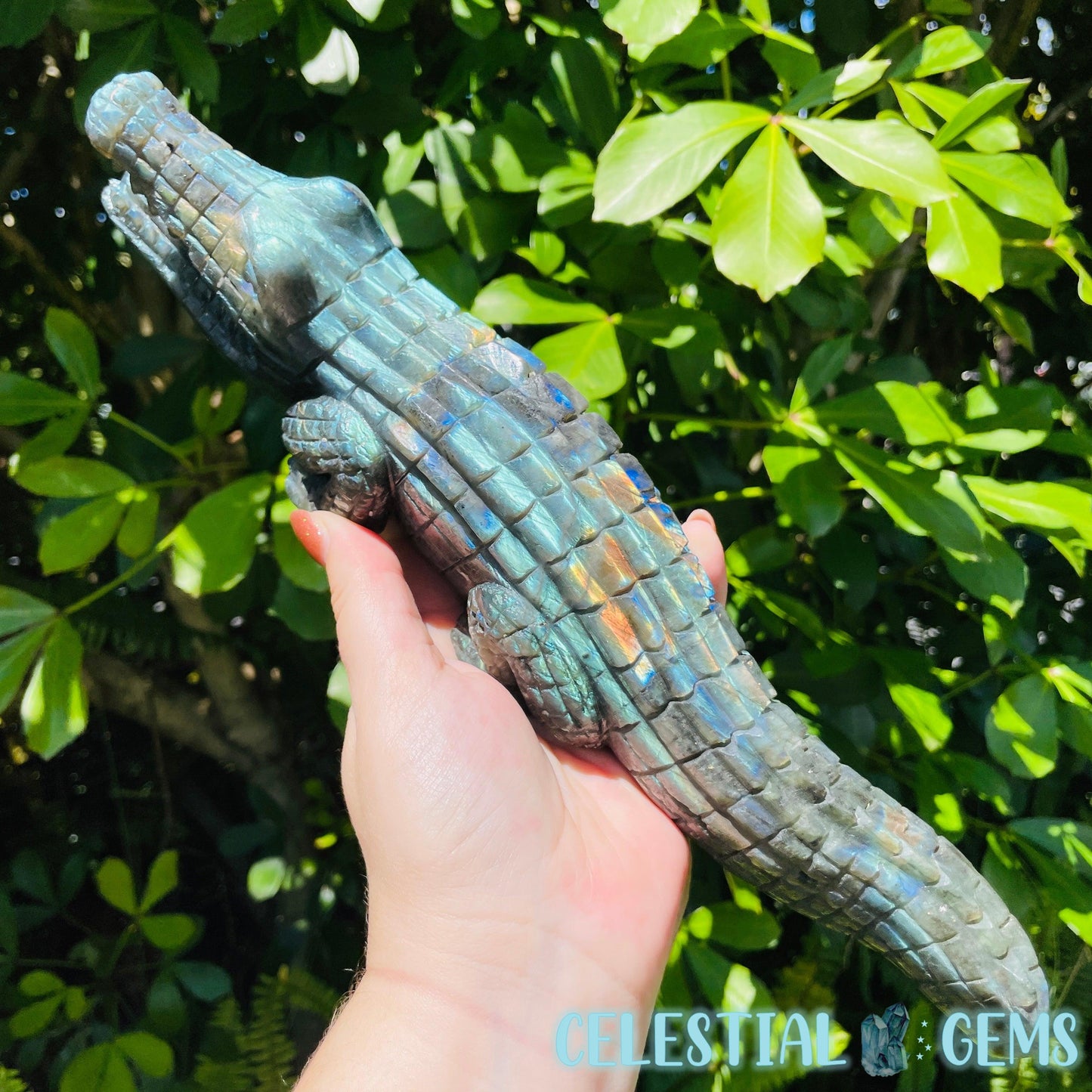 Labradorite Crocodile Large Carving