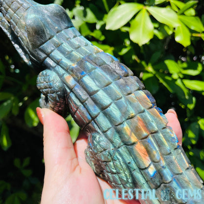 Labradorite Crocodile Large Carving