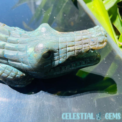 Labradorite Crocodile Large Carving