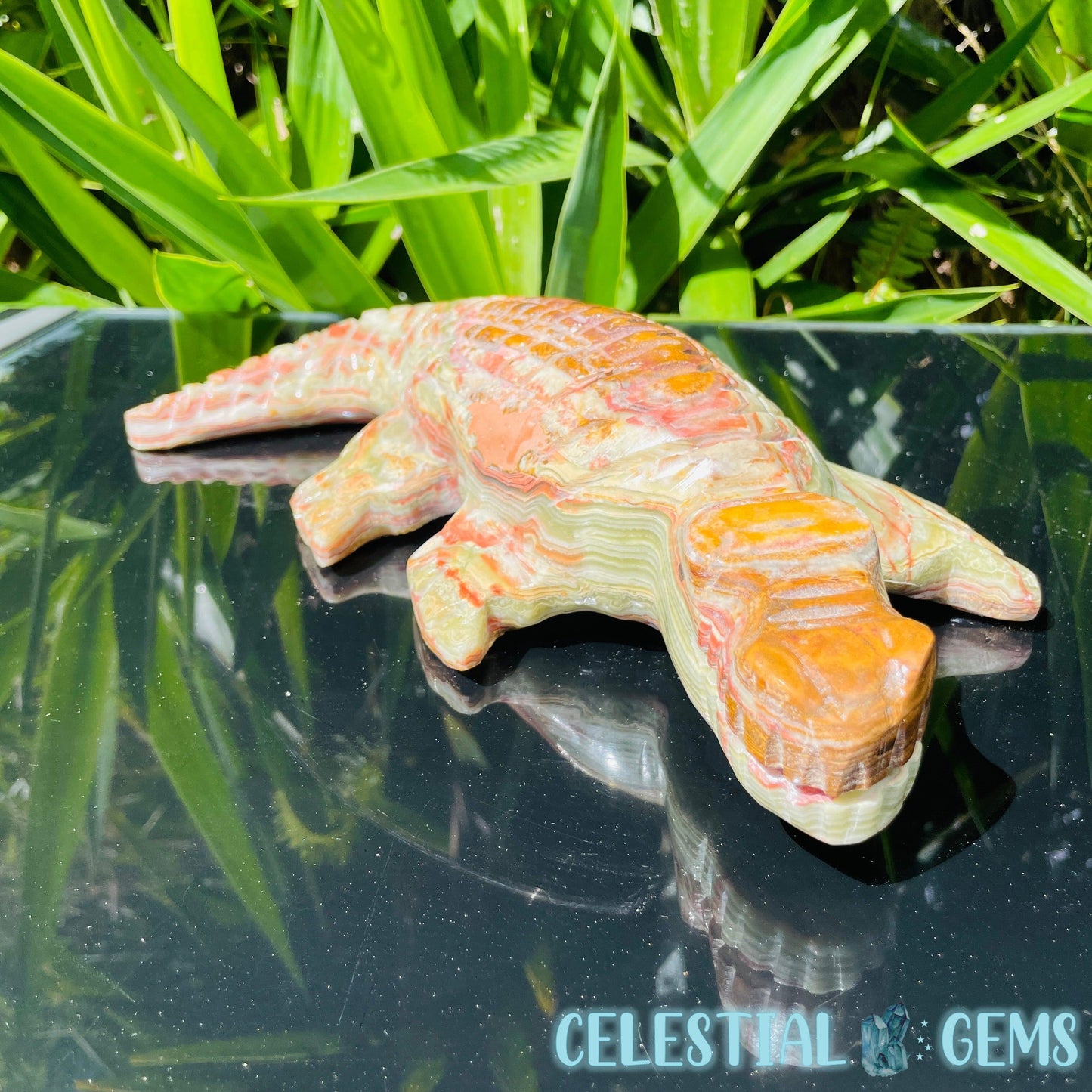 Banded Onyx Calcite Crocodile XL Carving