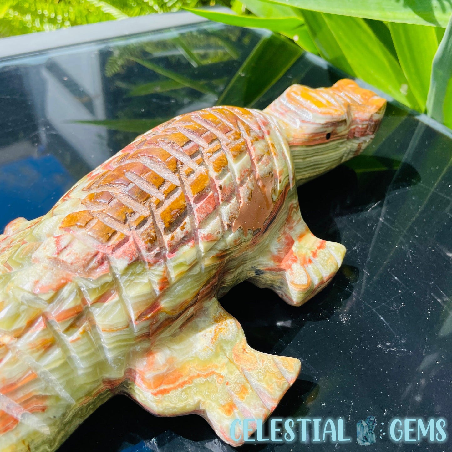 Banded Onyx Calcite Crocodile XL Carving