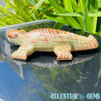 Banded Onyx Calcite Crocodile XL Carving