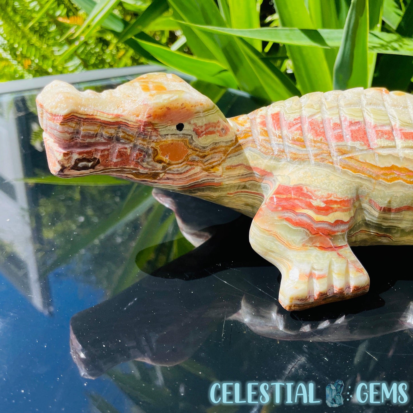 Banded Onyx Calcite Crocodile XL Carving