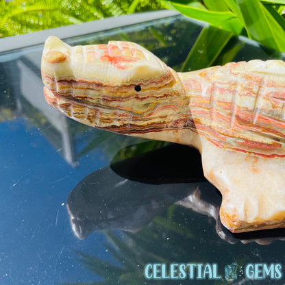 Banded Onyx Calcite Crocodile XL Carving