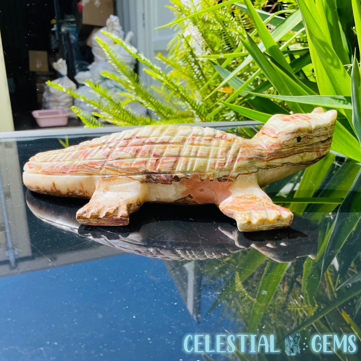 Banded Onyx Calcite Crocodile XL Carving