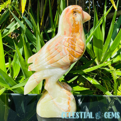 Banded Onyx Calcite Bird XL Carving