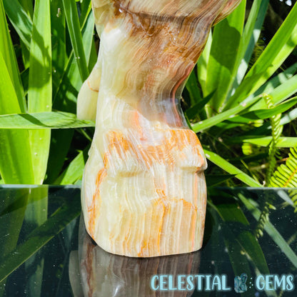 Banded Onyx Calcite Bird XL Carving