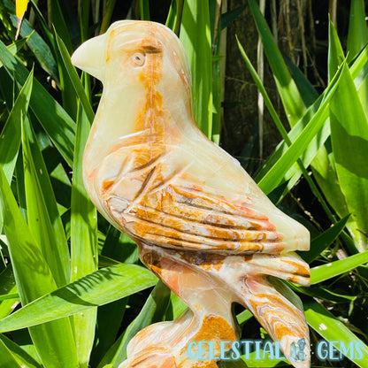 Banded Onyx Calcite Bird XL Carving