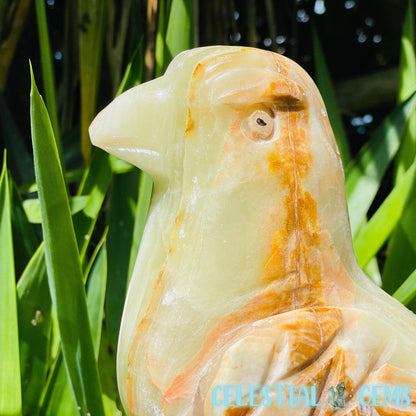 Banded Onyx Calcite Bird XL Carving