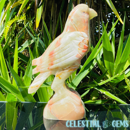 Banded Onyx Calcite Bird XL Carving